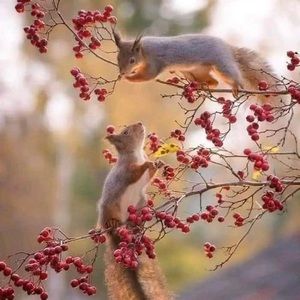 Meet your Posher, Pam